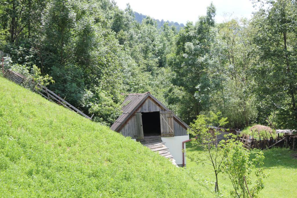 Teo Guesthouse Bran  Extérieur photo